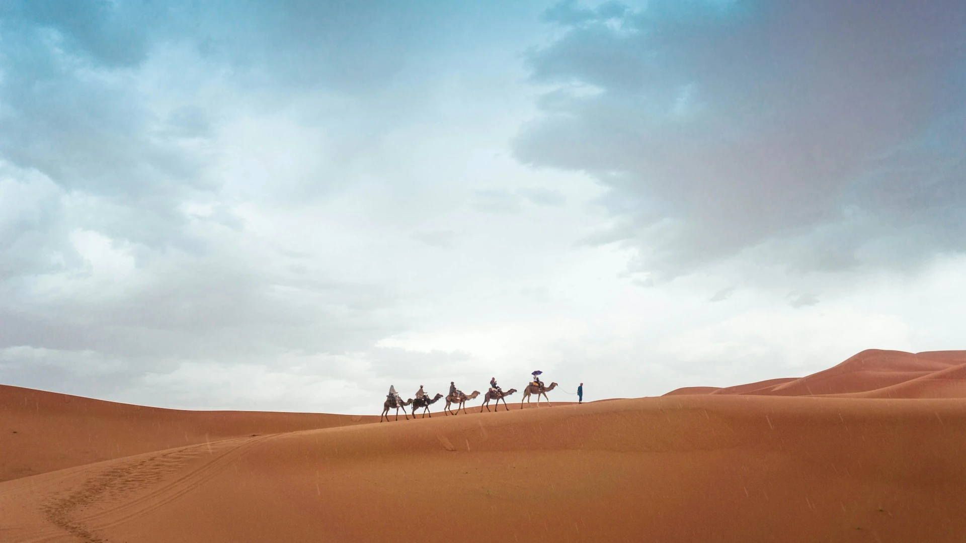 Camel walk on the Erg Chebbi dunes near Merzouga at sunset