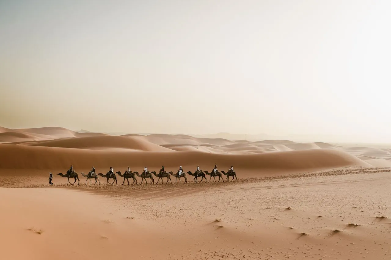 Camel walk on the Erg Chebbi dunes near Merzouga at sunset