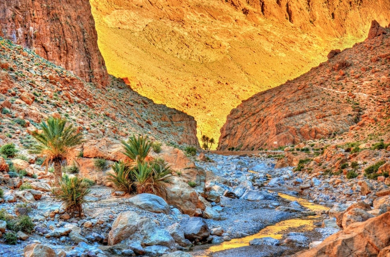 The towering red cliffs of the Todgha Gorges