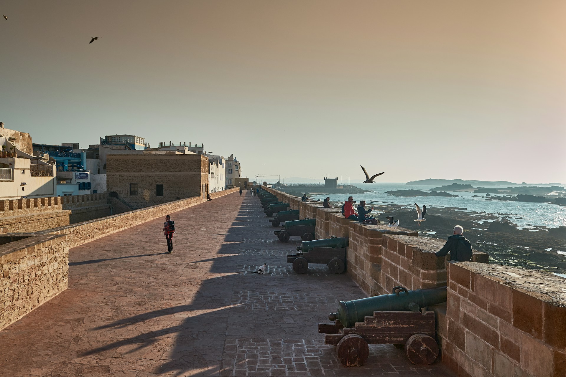 The Atlantic coast, medina and ramparts of Essaouira