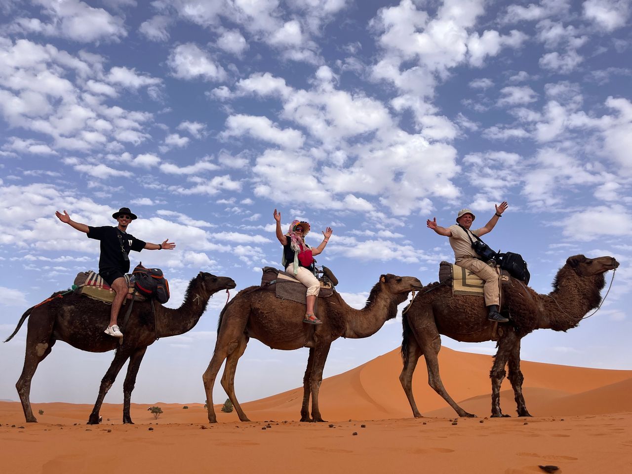 Camel walk on the Erg Chebbi dunes near Merzouga at sunset