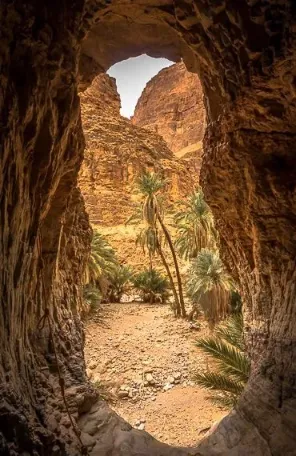 A stone arch above a palm oasis