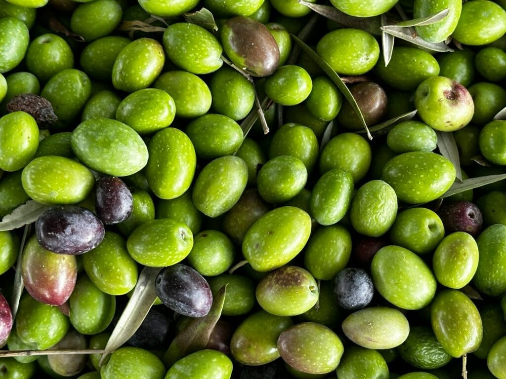 a pile of green olives and olives next to each other