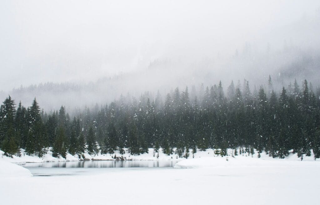 snow field and green pine trees during daytime,Snow In Morocco