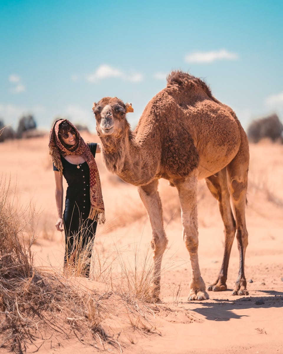 A woman and camel in the sunlit dunes of Merzouga, Morocco.