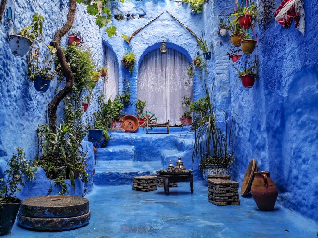 a blue alley with potted plants and a bench,chefchaouen morocco