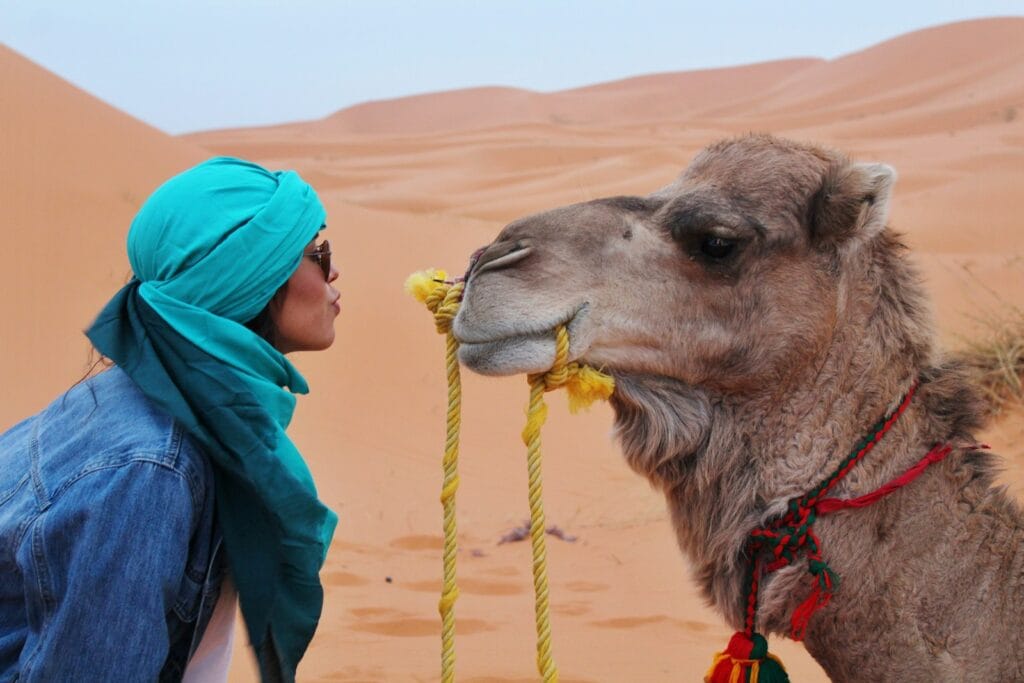 woman wearing blue jacket facing brown camel,When is the best time to visit Morocco