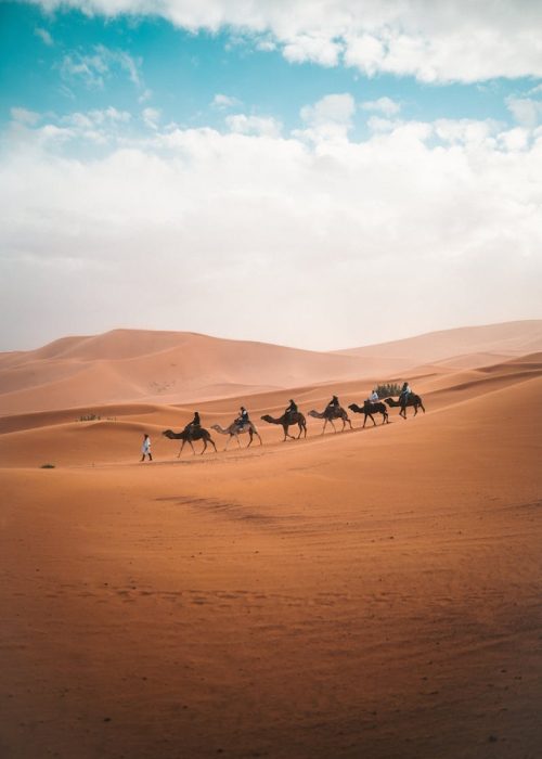 A camel caravan traverses the vast sand dunes of Al Wahat Al Dakhla Desert under a blue sky.
