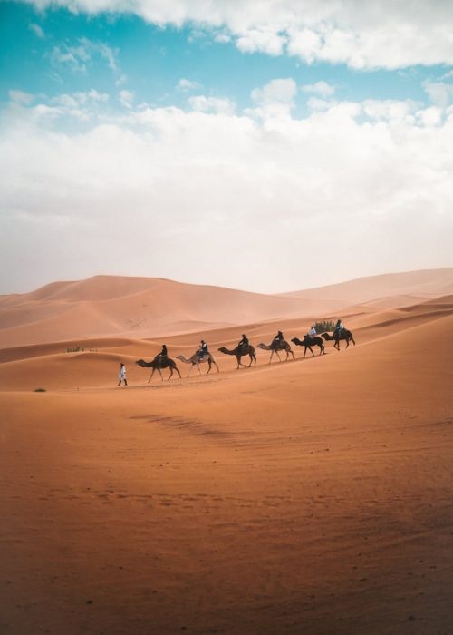 A camel caravan traverses the vast sand dunes of Al Wahat Al Dakhla Desert under a blue sky.