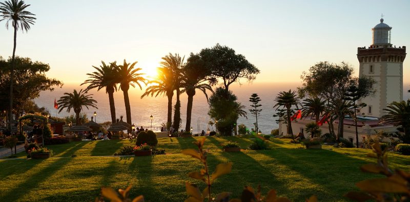 a grassy area with palm trees and a lighthouse in the background