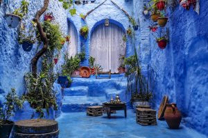 a blue alley with potted plants and a bench, tours from rabat