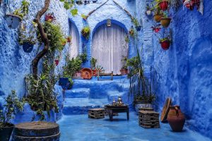 a blue alley with potted plants and a bench, tours from rabat