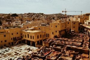 aerial photography of buildings