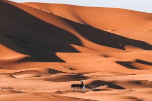 white and brown desert under blue sky during daytime, DAY TOURs FROM FES