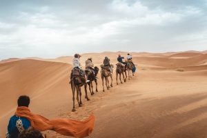several people riding camels on desert during daytime, errachidia to merzouga