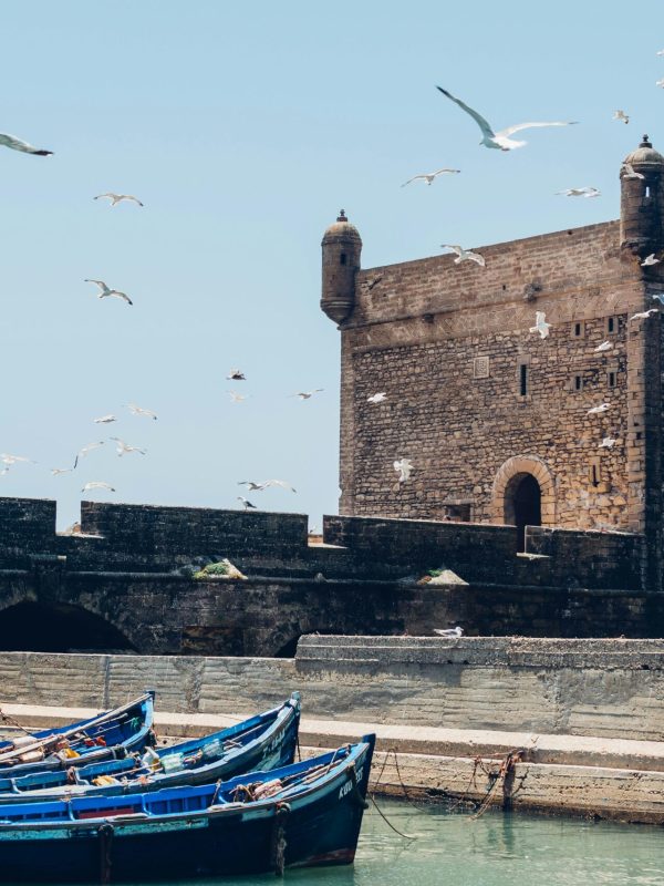 pexels-photo-255545-255545 A scenic view of the Essaouira citadel with seagulls in flight and boats docked at the harbor.