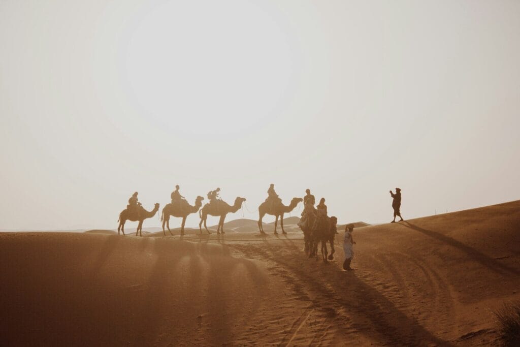 many people riding on camel through the desert field during daytime.Weather in Morocco in March