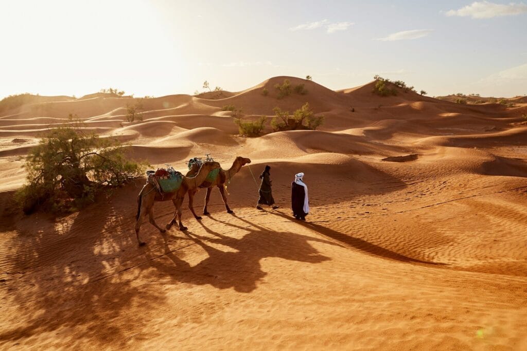 people walking with two camels walking on desert.How to say hello in Morocco